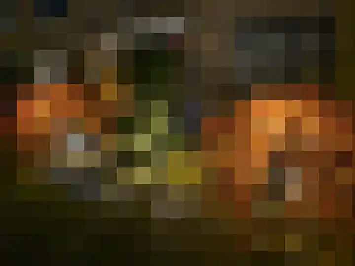 Veenmospad 4 Almere thumbnail 29
