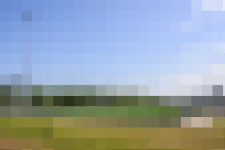 Veenmospad 4 Almere thumbnail 31