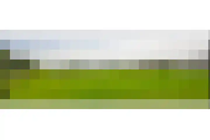 Veenmospad 4 Almere thumbnail 33