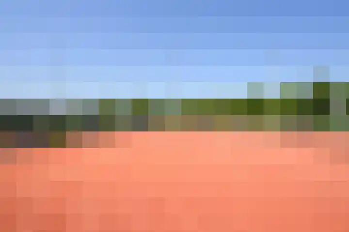 Veenmospad 4 Almere thumbnail 35