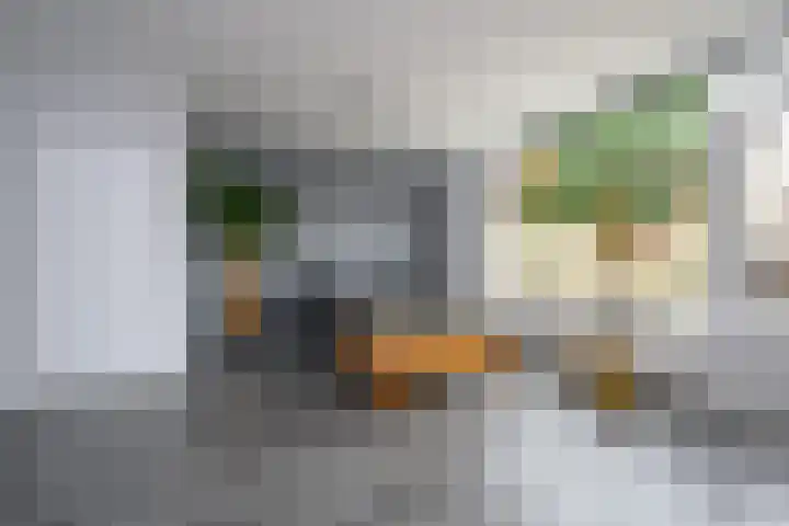 Veenmospad 4 Almere thumbnail 4