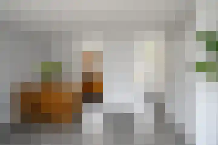 Veenmospad 4 Almere thumbnail 5