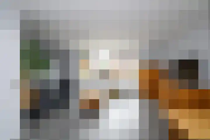 Veenmospad 4 Almere thumbnail 6