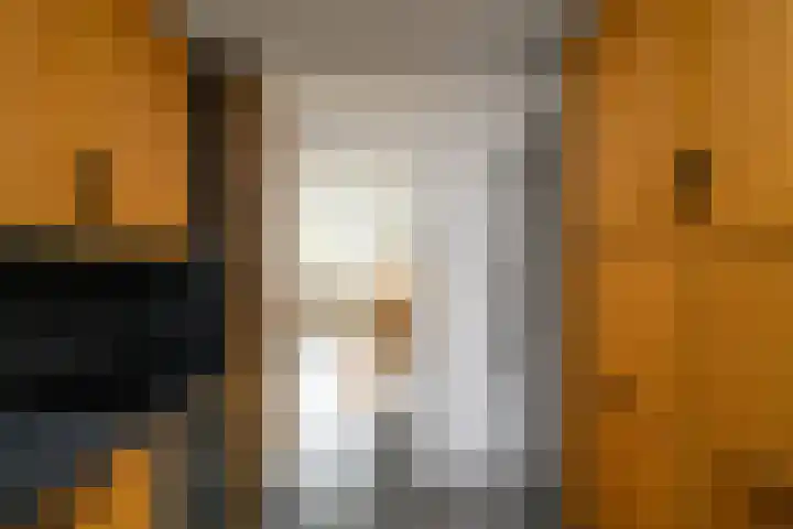 Veenmospad 4 Almere thumbnail 8