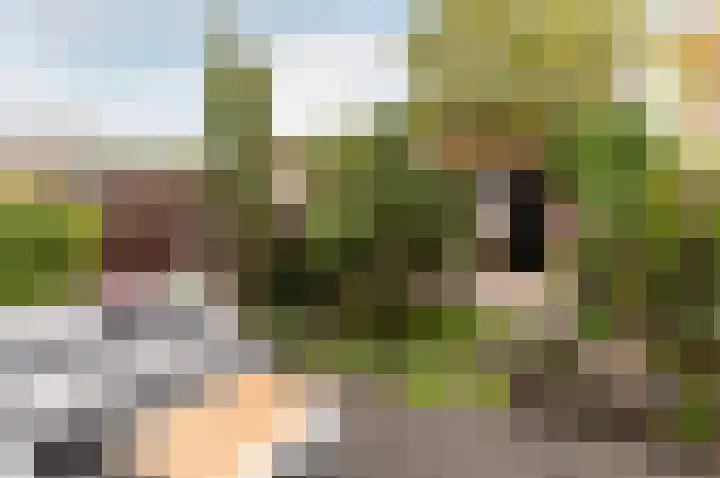 Veenmospad 8 Almere thumbnail 35
