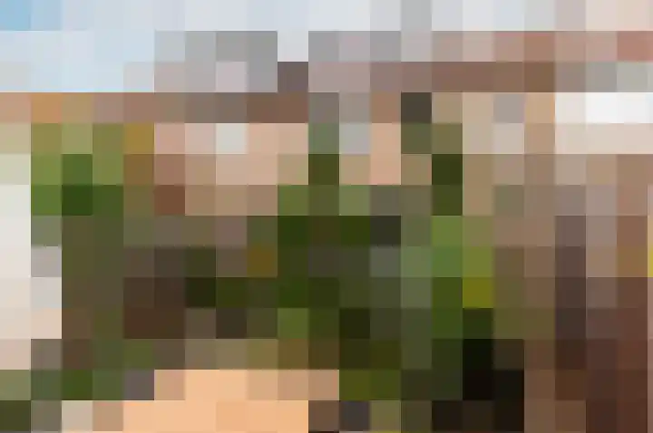 Veenmospad 8 Almere thumbnail 40