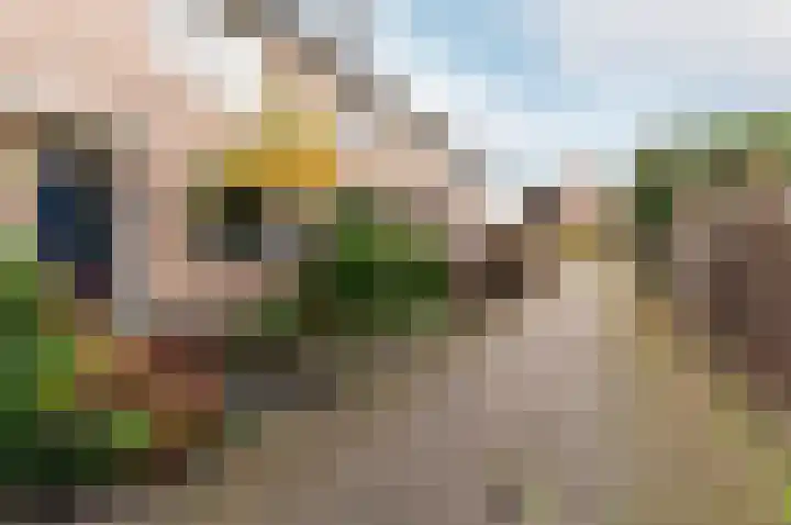 Veenmospad 8 Almere thumbnail 42