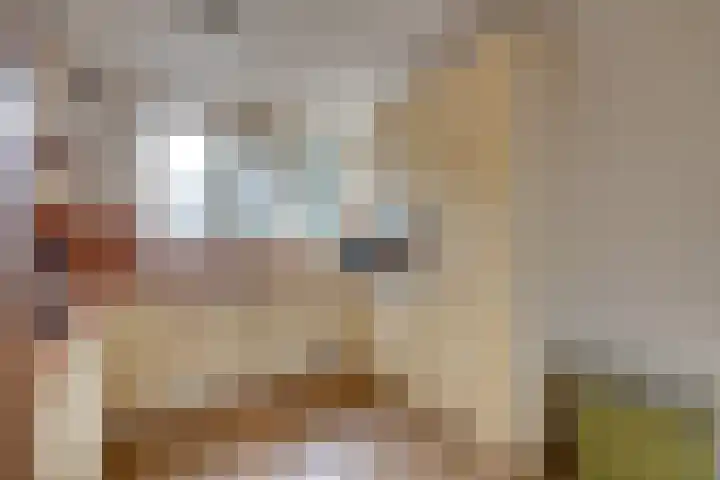 Veenmossingel 28 Purmerend thumbnail 14