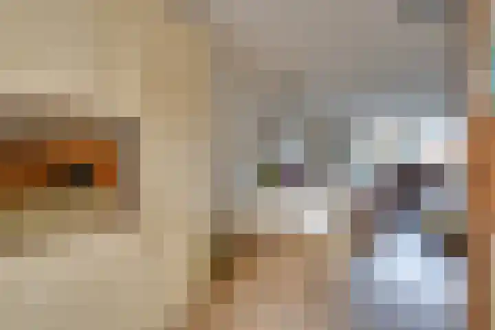 Veenmossingel 28 Purmerend thumbnail 18