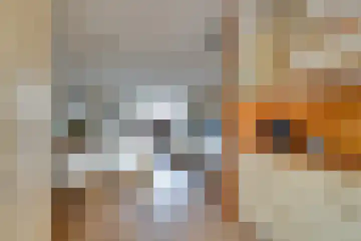 Veenmossingel 28 Purmerend thumbnail 19