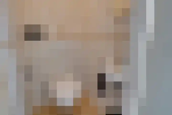 Veenmossingel 28 Purmerend thumbnail 20