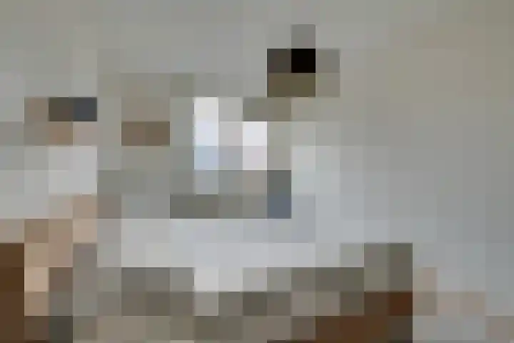 Veenmossingel 28 Purmerend thumbnail 22