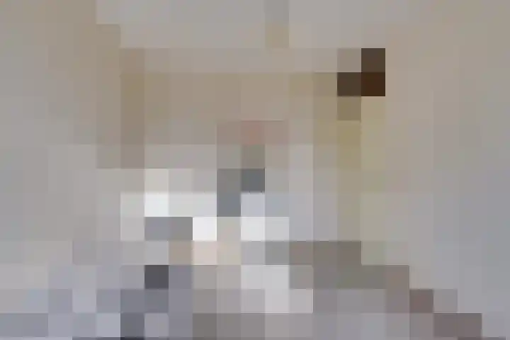 Veenmossingel 28 Purmerend thumbnail 27