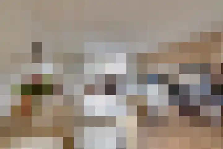 Veenmossingel 28 Purmerend thumbnail 7