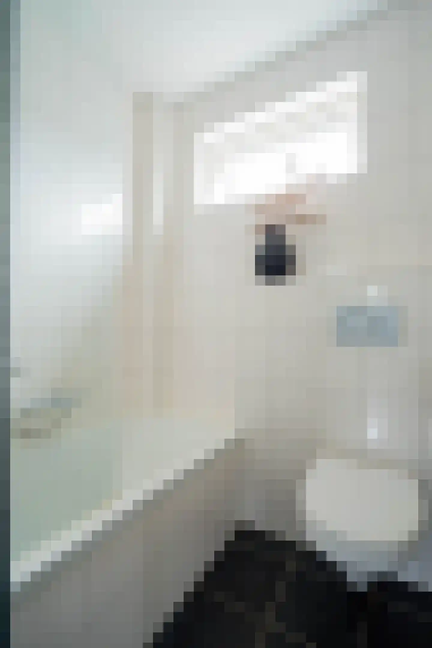 Veenmossingel 44 Deurne thumbnail 22