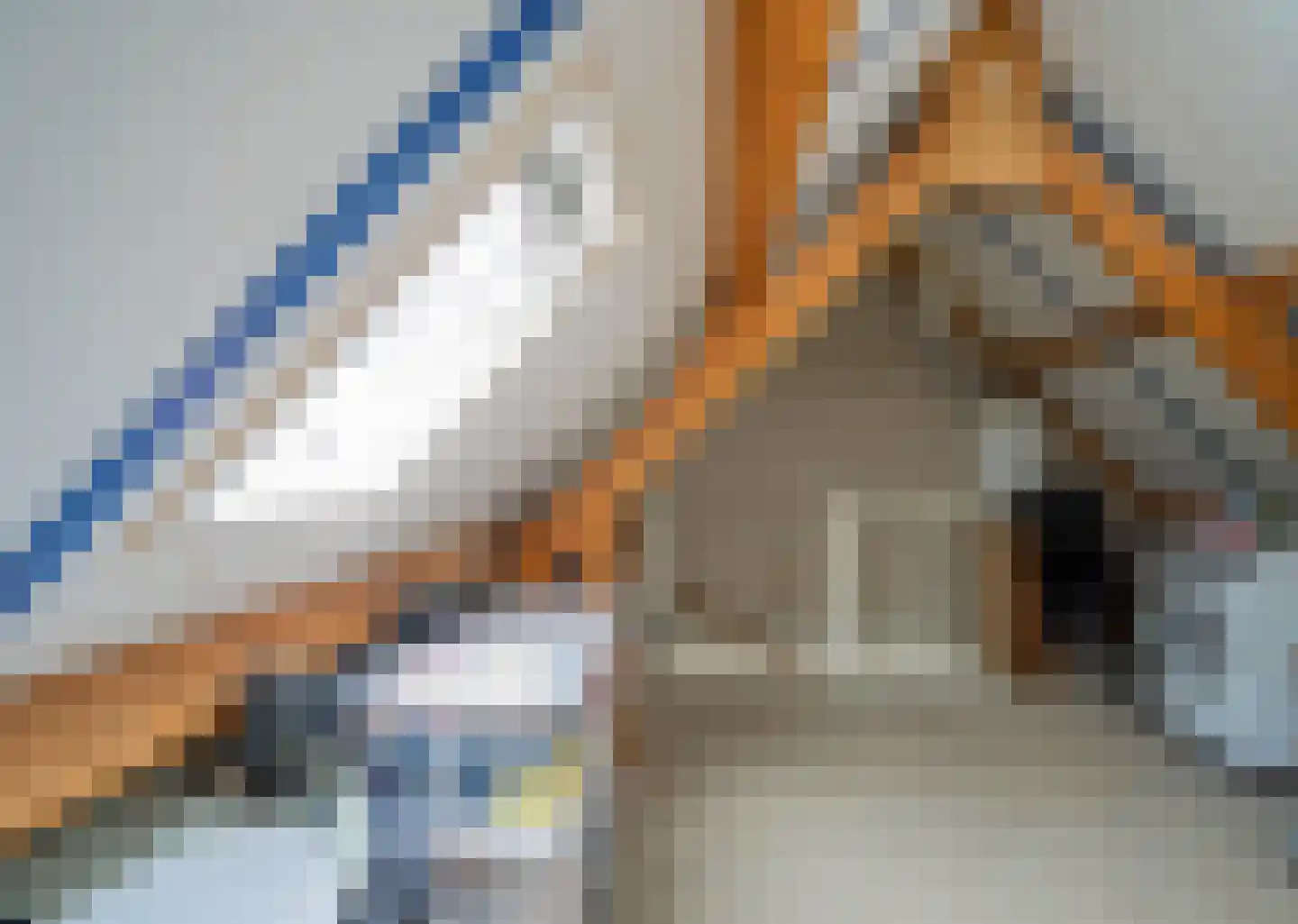 Veenmossingel 44 Deurne thumbnail 27