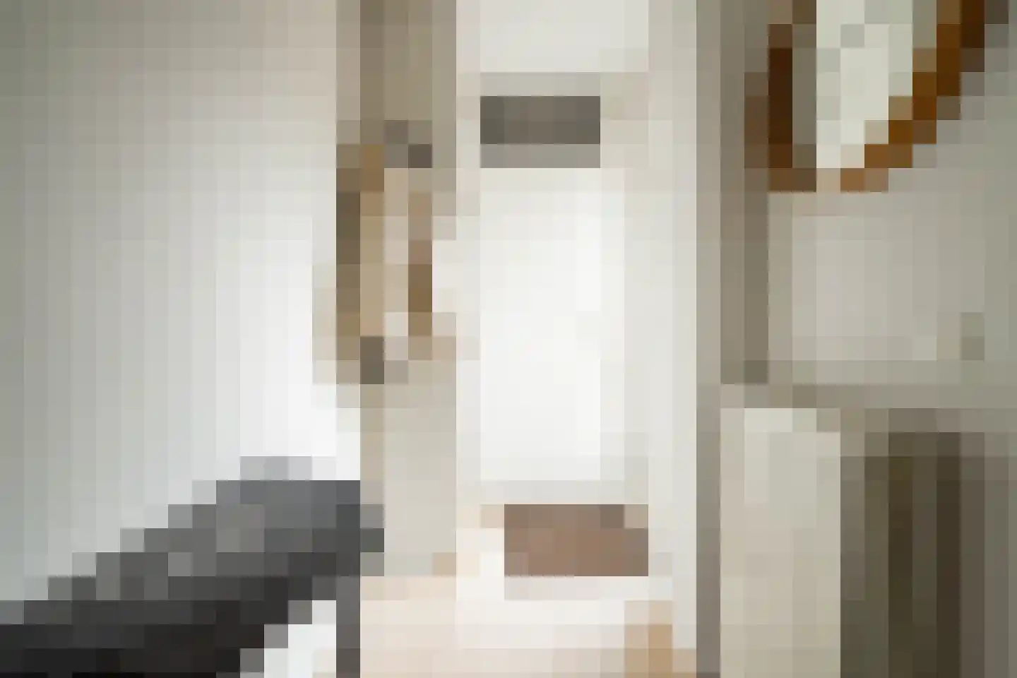 Veenmossingel 44 Deurne thumbnail 6