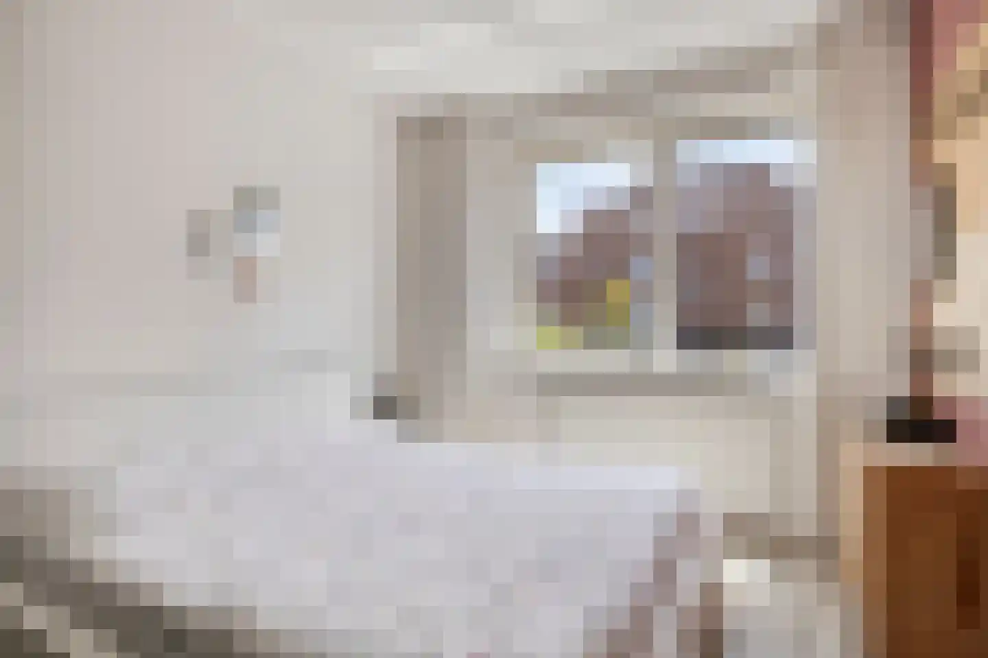 Veenoever 14 Roelofarendsveen thumbnail 10