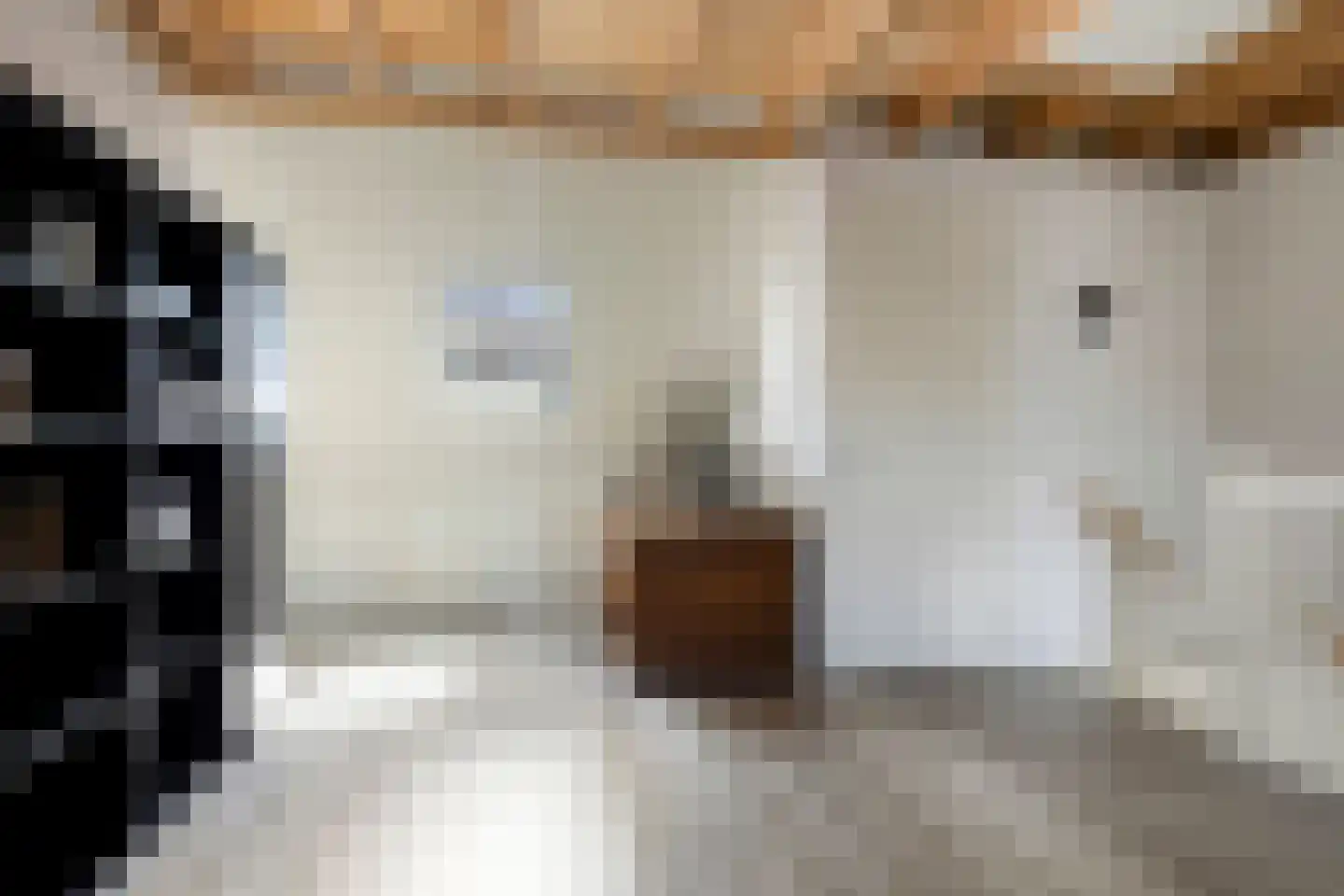 Veenoever 14 Roelofarendsveen thumbnail 15