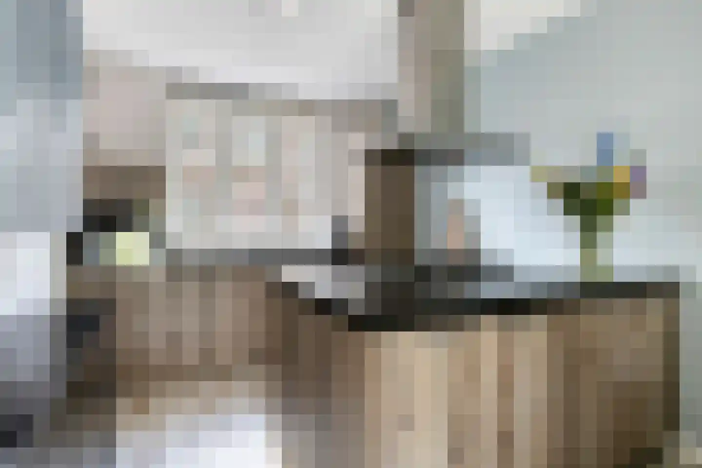 Veenoever 14 Roelofarendsveen thumbnail 7