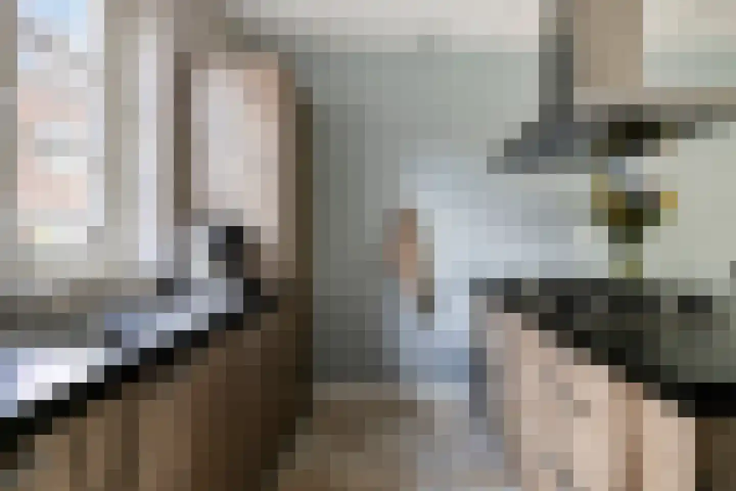 Veenoever 14 Roelofarendsveen thumbnail 8