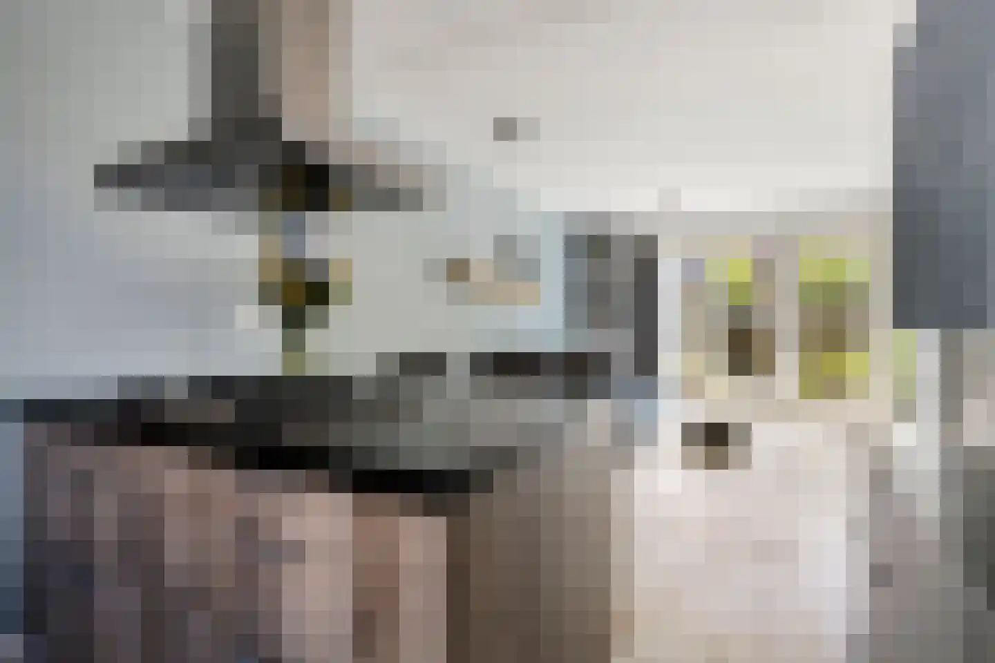 Veenoever 14 Roelofarendsveen thumbnail 9