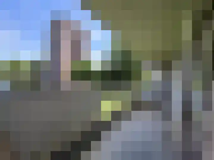 Veenoord 332 Rotterdam thumbnail 19
