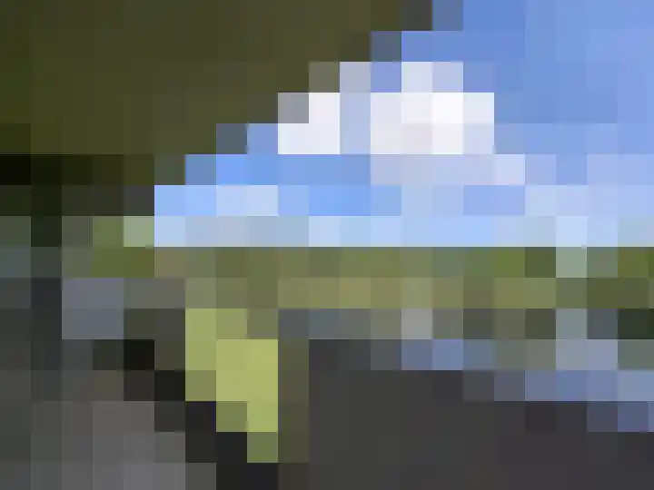Veenoord 332 Rotterdam thumbnail 20