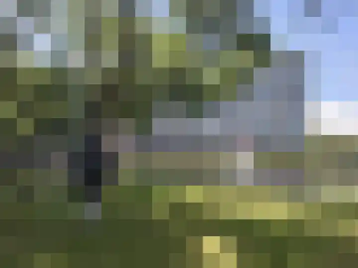 Veenoord 332 Rotterdam thumbnail 23
