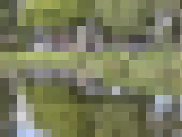 Veenoord 332 Rotterdam thumbnail 24
