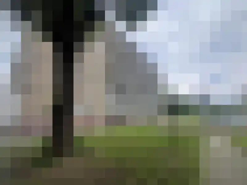 Veenoord 434 Rotterdam thumbnail 16