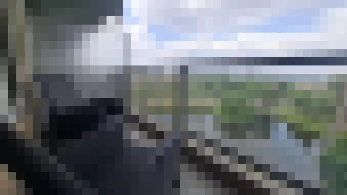 Veenoord 434 Rotterdam thumbnail 4