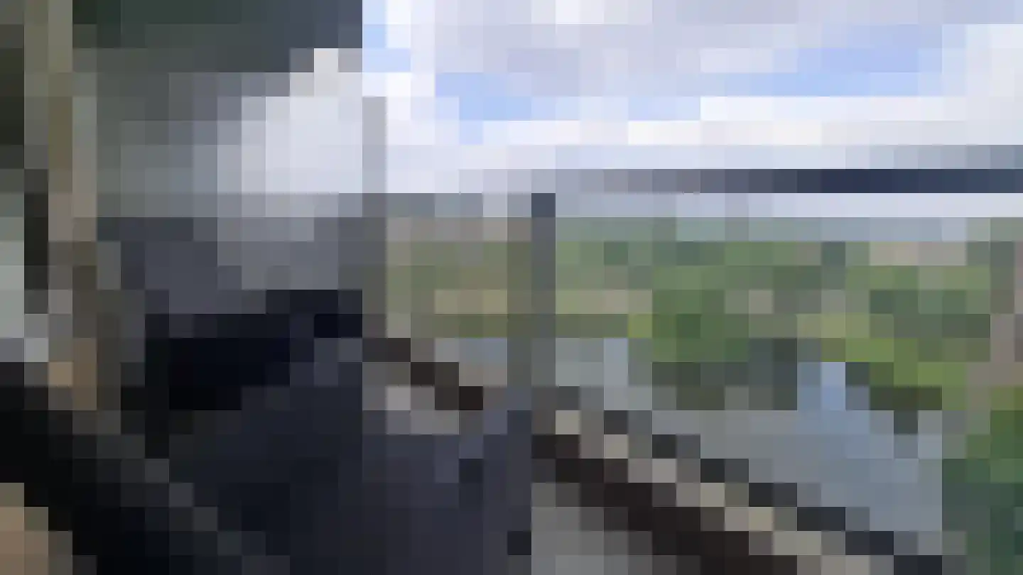 Veenoord 434 Rotterdam thumbnail 4