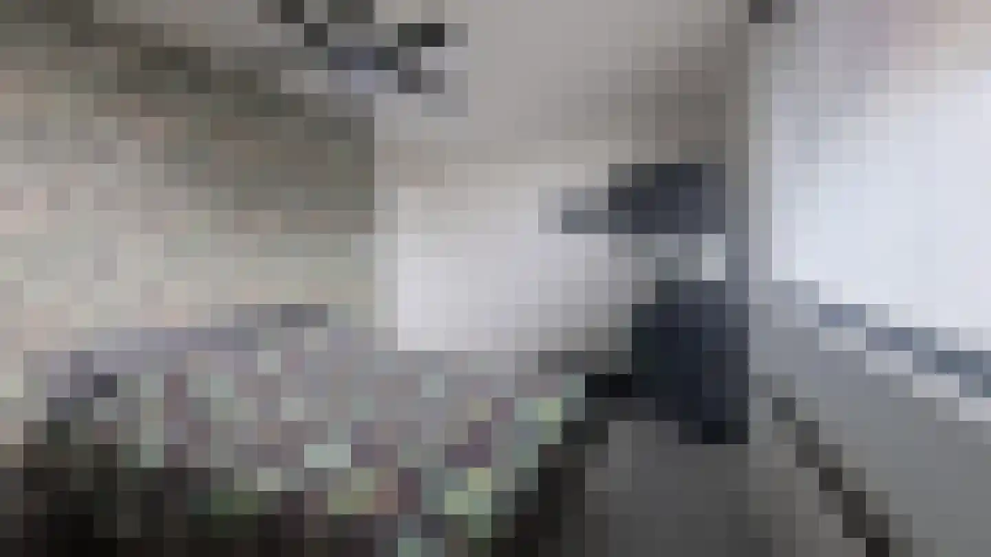 Veenoord 434 Rotterdam thumbnail 6