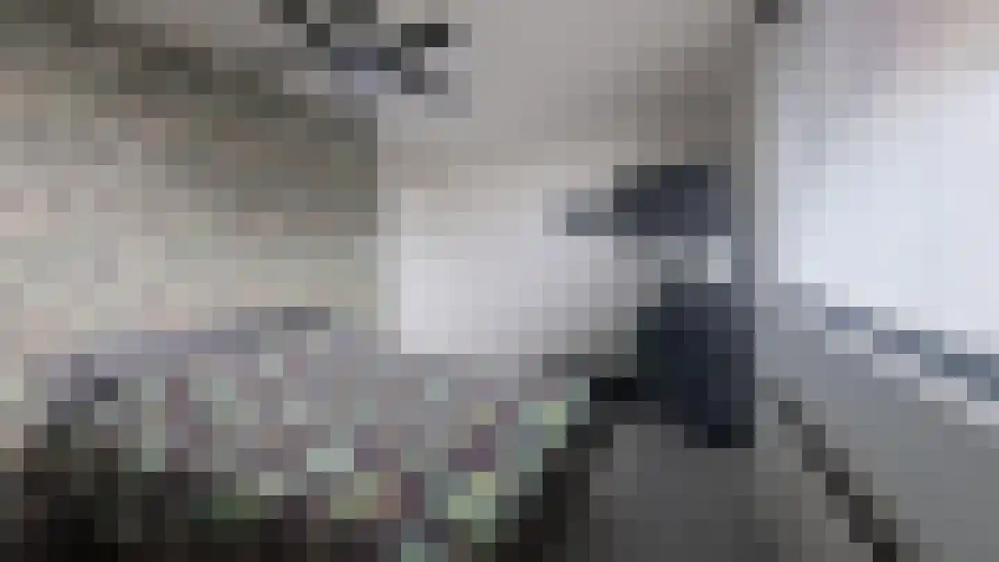Veenoord 434 Rotterdam thumbnail 6