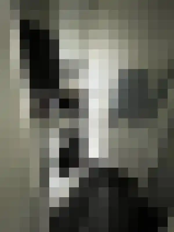 Veenoord 434 Rotterdam thumbnail 9