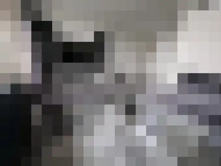 Veenoord 452 Rotterdam thumbnail 4