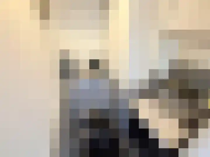 Veenoord 452 Rotterdam thumbnail 7
