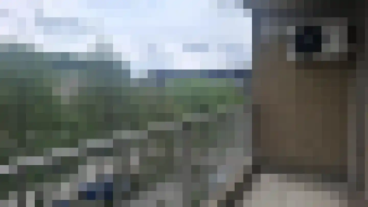 Veenoord 58 Rotterdam thumbnail 13