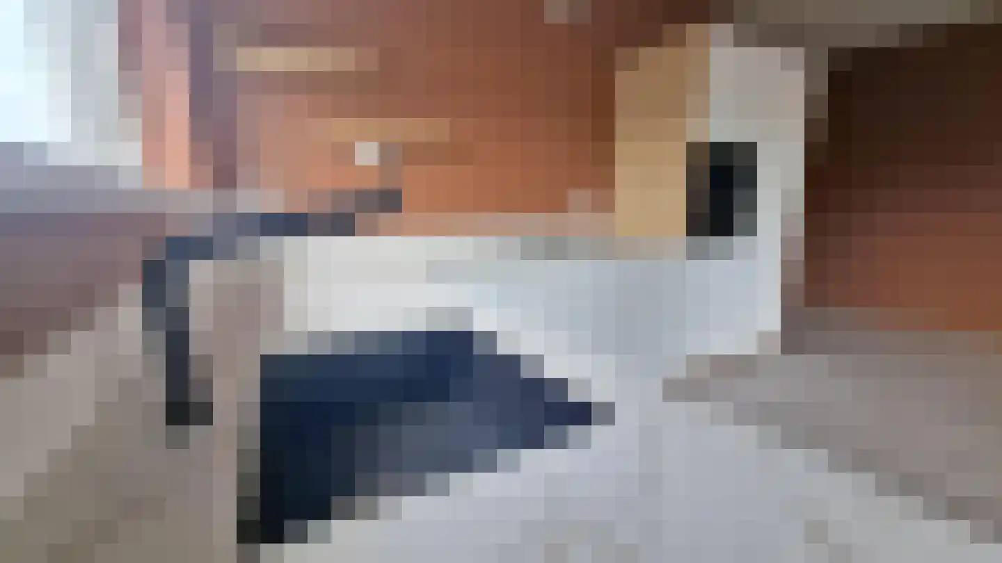 Veenoord 58 Rotterdam thumbnail 5