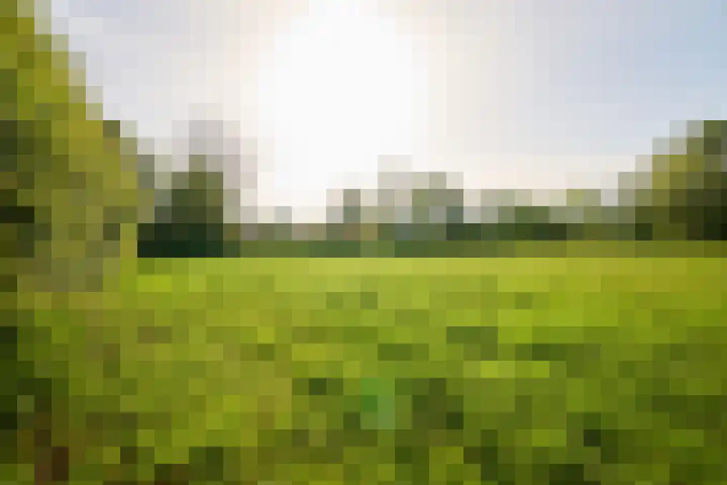 Veenpad 12 Soest thumbnail 11