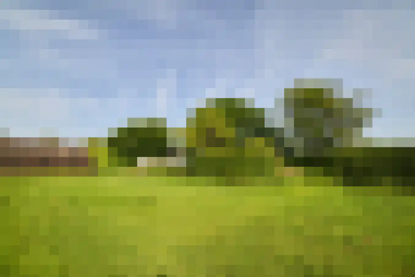 Veenpad 12 Soest thumbnail 13