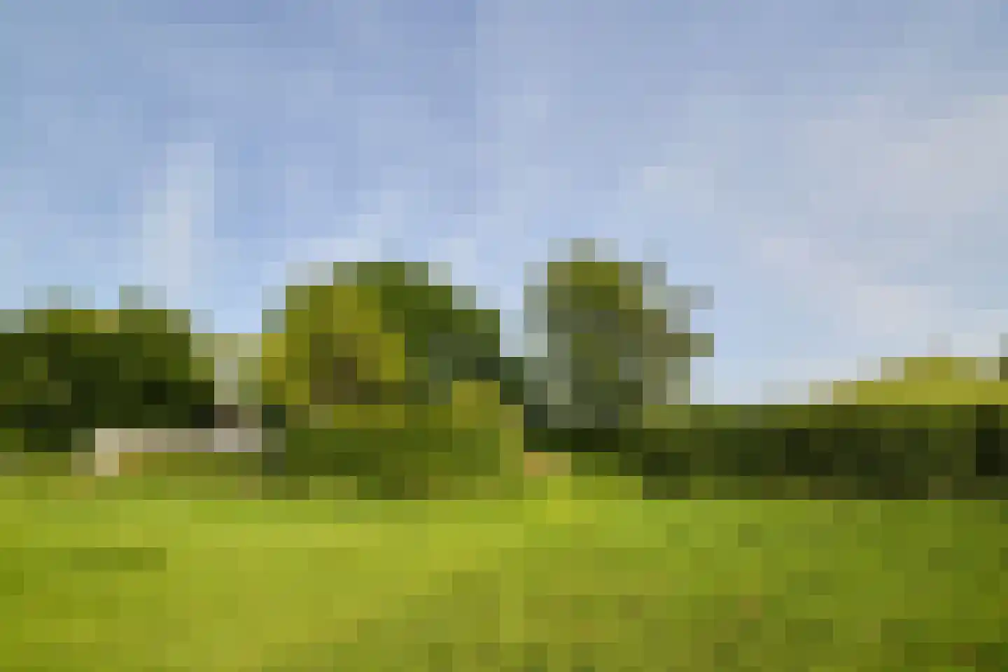 Veenpad 12 Soest thumbnail 14