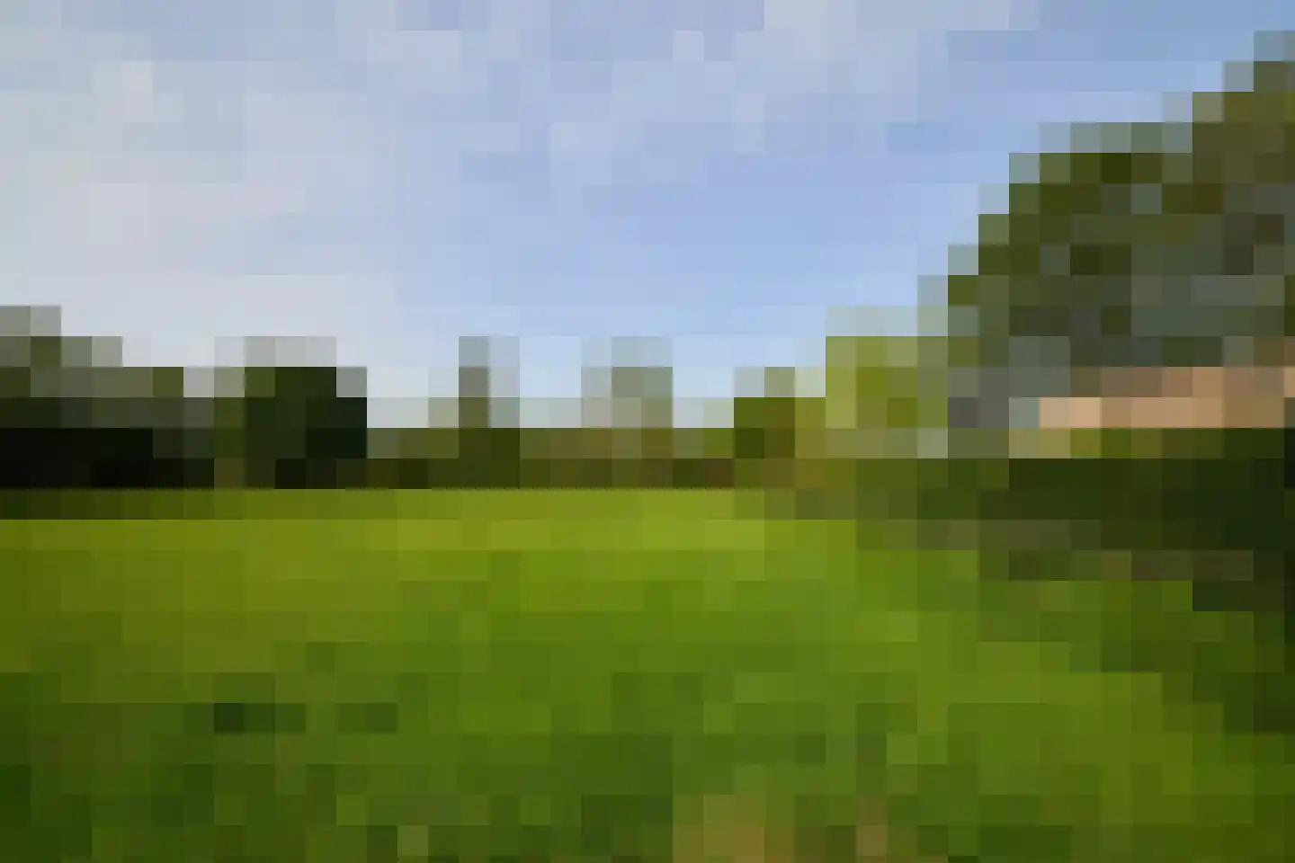 Veenpad 12 Soest thumbnail 16