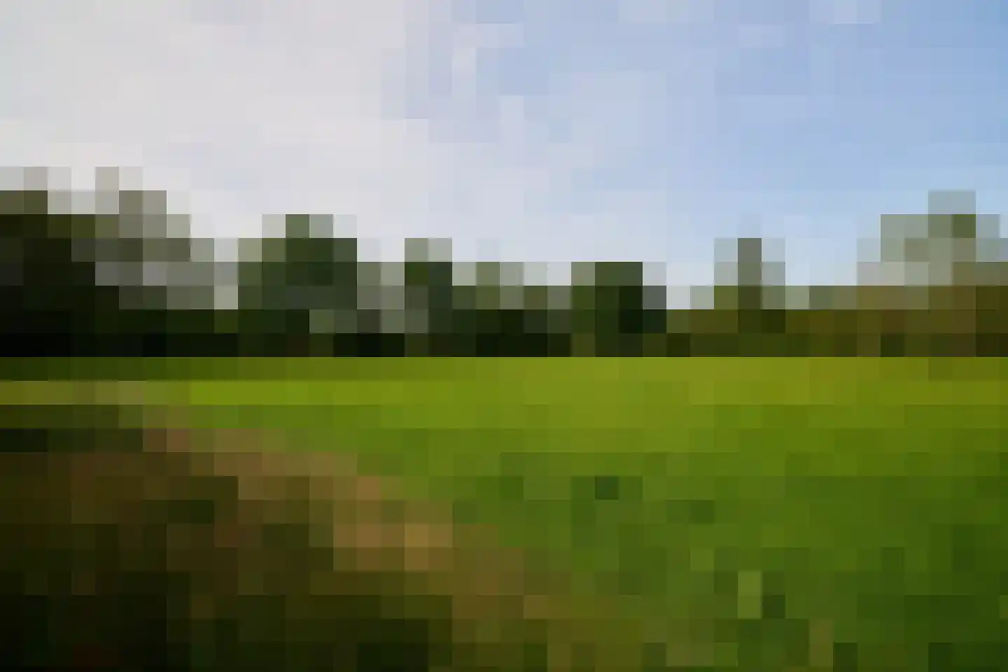 Veenpad 12 Soest thumbnail 17