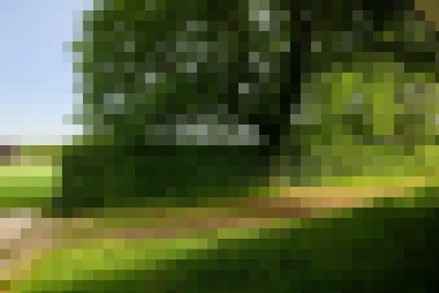 Veenpad 12 Soest thumbnail 19
