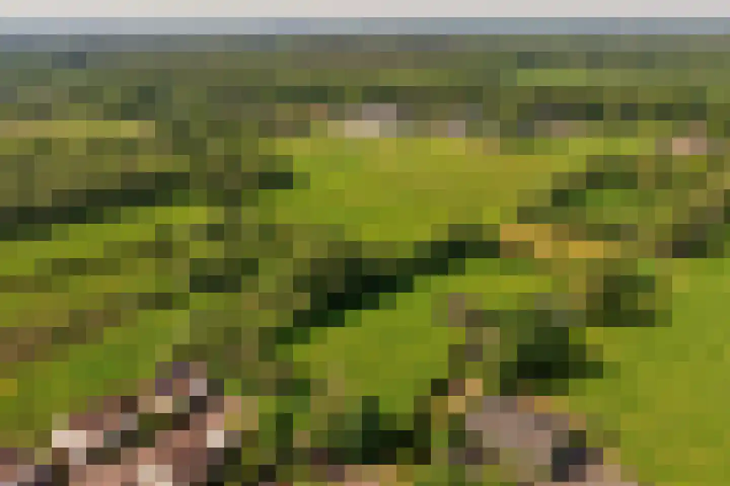 Veenpad 12 Soest thumbnail 20