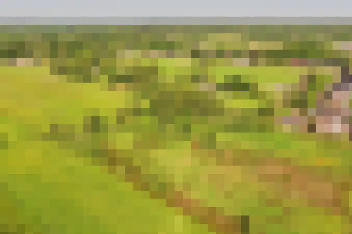 Veenpad 12 Soest thumbnail 4