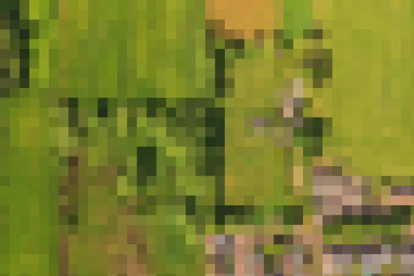 Veenpad 12 Soest thumbnail 5