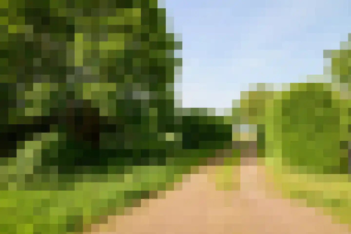 Veenpad 12 Soest thumbnail 6